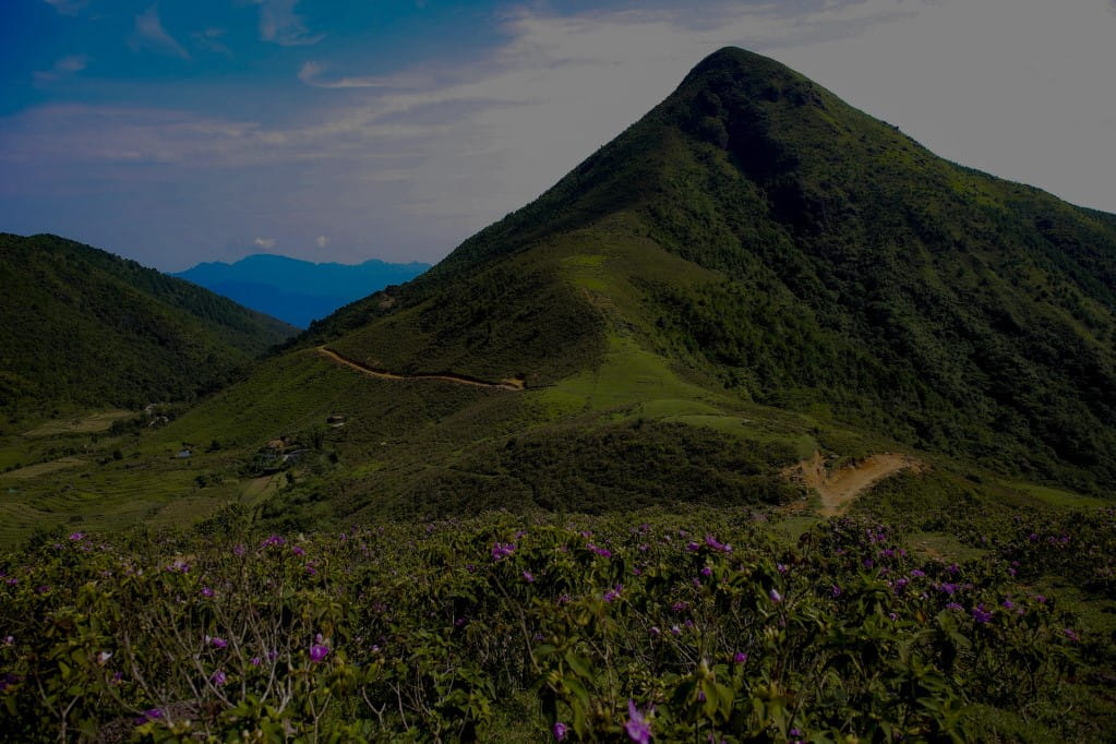 Cao Ly Mountain